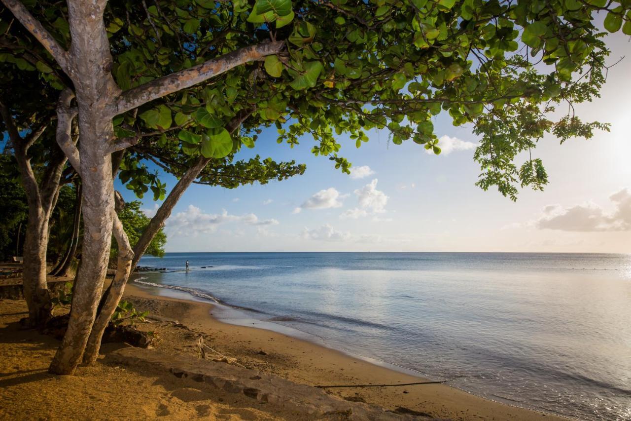 Hotel East Winds St. Lucia Gros Islet Exteriér fotografie